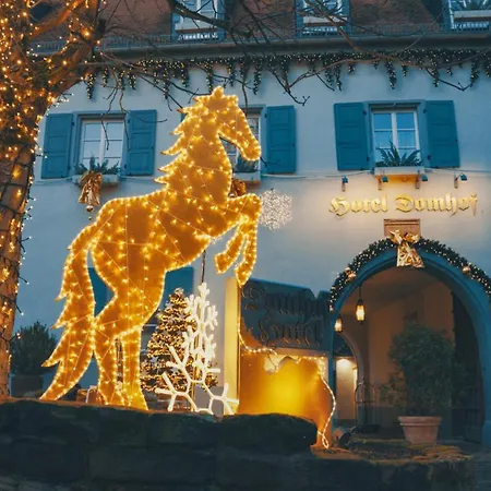 Domhof Hotel Espira