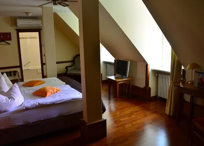 Hotel Domhof